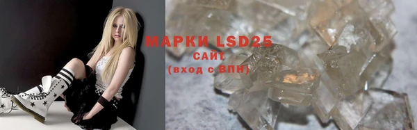 PSILOCYBIN Белокуриха