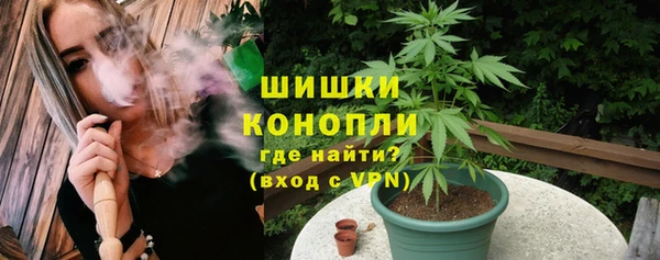 PSILOCYBIN Белокуриха