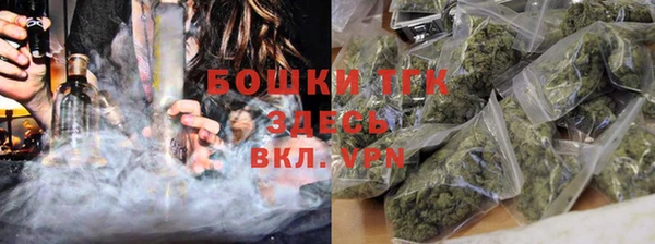 PSILOCYBIN Белокуриха