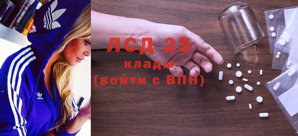 PSILOCYBIN Белокуриха