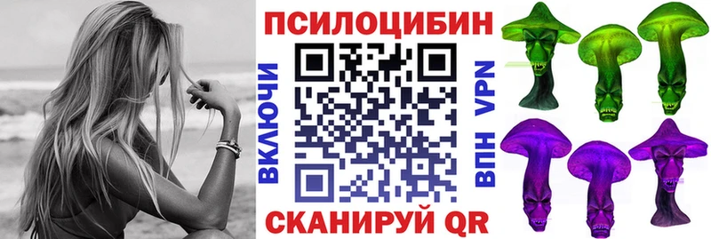 Псилоцибиновые грибы Psilocybine cubensis Сысерть